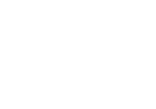 логотип ProfsoUX